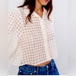 Zara Sheer Daisy Print Floral Crop Top